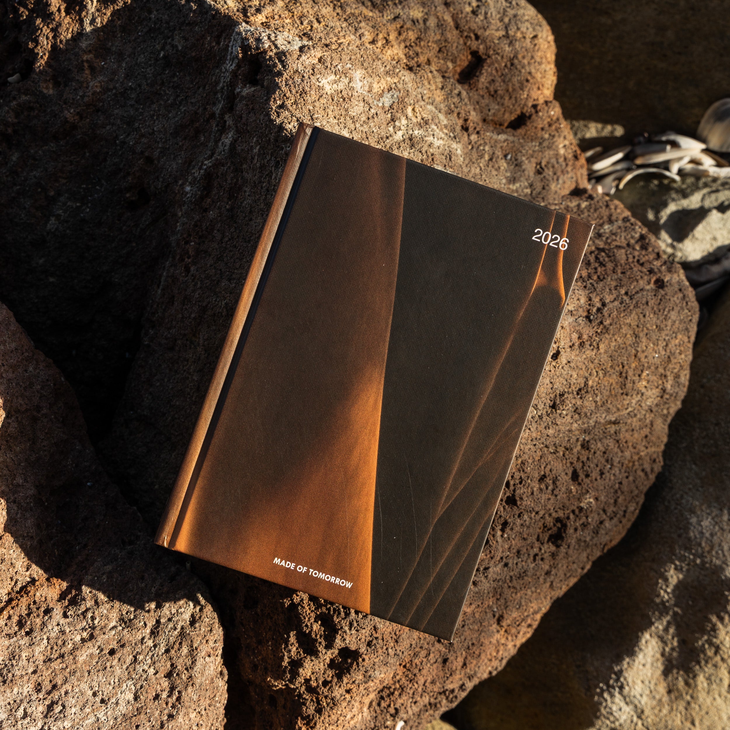 2026 A5 Daily Diary - Graphic