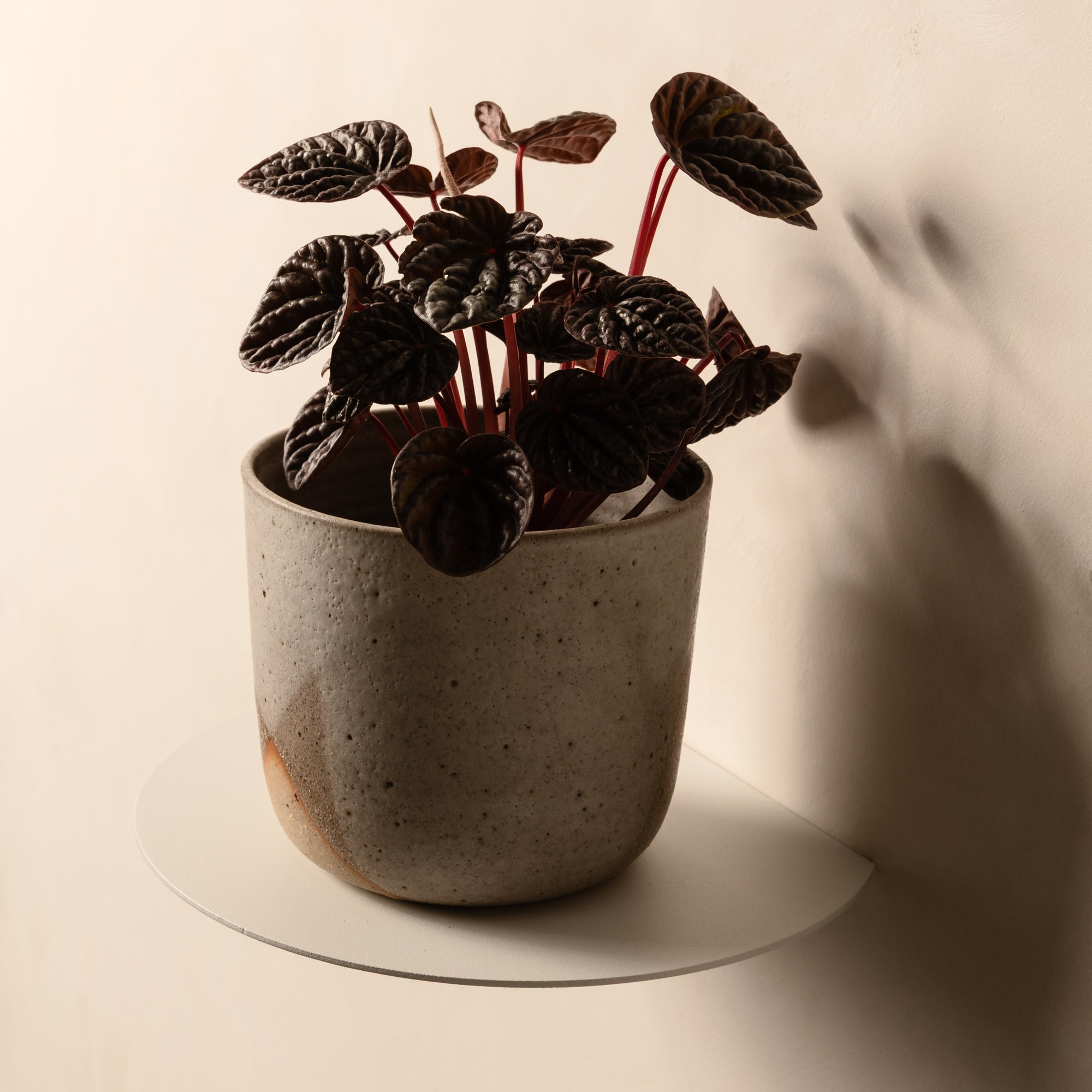 FOLD Round Shelf 250